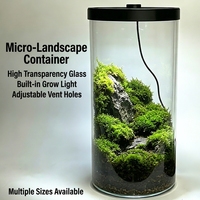 Terrarium en verre borosilicate de haute qualité avec éclairage LED pour culture et ventilation réglable, vase en verre pour micro-paysage