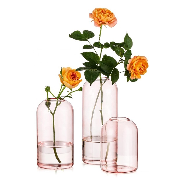 Aesthetic Decorative High Borosilicate Glass Bud Vase Hydroponic Transparent Small Vase for Home Decor Wedding Centerpieces