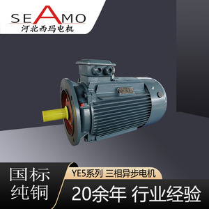 Motor Asíncrono Trifásico Hebei Xima Ye5 de 4 Polos, 2.2-400kw, Totalmente Cerrado, para Equipos Mecánicos - Product Image 3