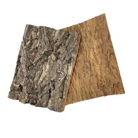 Décor de fond en liège pour terrarium, toile de fond en écorce pour reptiles, décoration murale pour terrarium de dragon barbu, habitat pour gecko, lézard, tortue, grenouille
