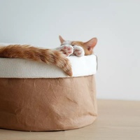 Lit pour chat détachable et lavable, canapé pour animaux de compagnie, produits pour animaux de compagnie, best-sellers, niche pour chat, matelas chaud toutes saisons, accessoires pour animaux de compagnie
