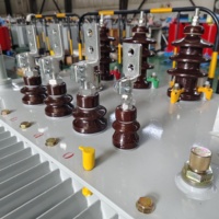 Transformador Sumergido en Aceite de Bajo Ruido y Funcionamiento Estable, 10kV a 380V, Trifásico, para Distribución de Energía en Edificios Comerciales