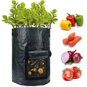 Lot de 2 sacs de culture de pommes de terre de jardin de 10 gallons avec rabat et poignées Pots en tissu d'aération <span class=keywords><strong>à</strong></span> usage intensif - Product Image 1