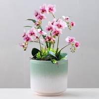 Pot de fleurs en céramique à rayures verticales de style nordique minimaliste, taille moyenne/grande, pour la maison, le bureau, le balcon, la table, Phalaenopsis