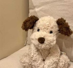 Peluche <span class=keywords><strong>Jack</strong></span> le Chiot, la poupée chien adorable la plus vendue sur TikTok, ultra-douce et confortable, compagnon idéal, cadeau d'anniversaire - Product Image 4