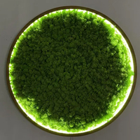 Lampe murale en mousse de renne préservée, design biophilique, pour projet hôtelier |   Jardin vertical acoustique sans entretien, art mural LED