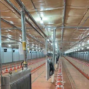 Equipamento Automático Avicultura Sistema Agrícola Completo com Equipamentos Casa Galinha e Alimentadores Animais - Product Image 5