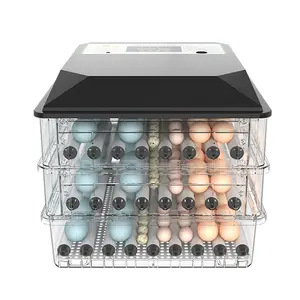 自動インキュベーター卵孵化機ウズラブロイラー鶏卵インキュベーター
