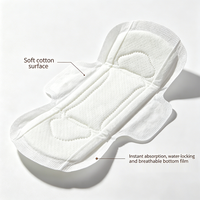Échantillon Gratuit Culottes Menstruelles Jetables Super Absorbantes Anti-Fuites Respirantes Non Tissées pour Femmes Vente en Gros