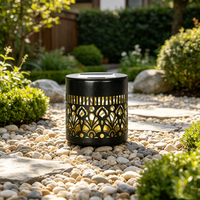 Lanterne solaire murale de style vintage, lampe de jardin, coque en métal, IP65, étanche, lumière solaire décorative pour cour et jardin