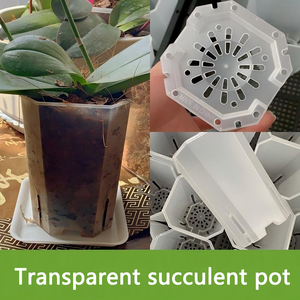 Maceta de Plástico Transparente Resistente de 2/3/4/5/6/7 Pulgadas para Flores, Suculentas, Orquídeas, Control de Raíces, Contenedor para Bonsái - Product Image 4