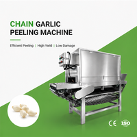 Machine à éplucher l'ail automatique SAIDASHI 200 kg/h |   Éplucheur d'ail en acier inoxydable pour usine de transformation alimentaire