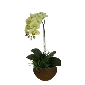 New arrived customized Colorful black flask artificial orchid flowers plants for sale