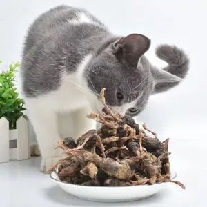 Wholesale Training Snacks Freeze Dried Little Quails For Cats And Dogs Treats