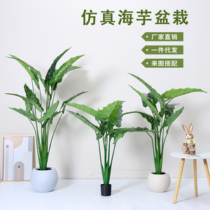 Plante artificielle de taro Dream Castle, 100-200 cm, PVC, décoration intérieure, verdure - Product Image 1