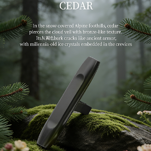 เครื่องหอมติดช่องแอร์รถยนต์โลหะทันสมัย ดีไซน์หรูหรา กลิ่นหอมยาวนาน กำจัดกลิ่นไม่พึงประสงค์ ไม่ใช้ไฟฟ้า - Product Image 3