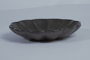 Platos Irregulares para Servir Sushi, Sashimi, Ensaladas, Tonkatsu, Tempura, Dumplings, Katsu, Platos para Restaurante - Product Image 6