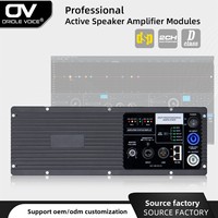 Module de haut-parleur numérique actif de classe D professionnel, subwoofer stéréo à double canal, amplificateur de puissance DSP