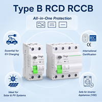 Interruptor Diferencial Residual (RCD) Tipo B de 2 Polos, 10KA, 63A, 30mA, 300mA, para Riel DIN, 10KA para Carga de Vehículos Eléctricos y Sistemas Solares, CB/CE Chayo