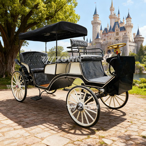 Nouvelle calèche victorienne de haute qualité et abordable pour mariages et visites touristiques avec auvent (modèle 2026) - Product Image 4