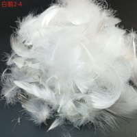 Vente en gros de doudoune en velours d'oie grise Produit de haute qualité avec matériau extérieur en velours et rembourrage en duvet