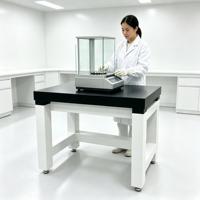 Mesa de Equilibrio Antivibración de Precisión (Mesa de Aislamiento de Vibraciones de Granito)