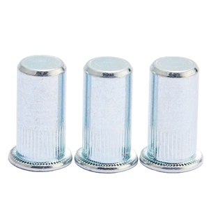 Precio de fábrica Acero al carbono Remache galvanizado Tuerca <span class=keywords><strong>blid</strong></span> Cabeza plana Cuerpo moleteado Tuercas de remache de extremo cerrado con alta calidad - Product Image 1