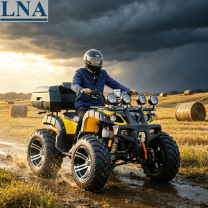 <span class=keywords><strong>Quad</strong></span> LNA, charge maximale 300 kg, prix 300cc, pour adultes / usage commercial - Product Image 1
