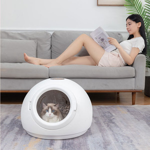 Automatische Industriële Kattendroger Blower Box Pet Droger Kamer Machine Drogen Grote Professionele Hond Pet Air Föhn Box - Product Image 4