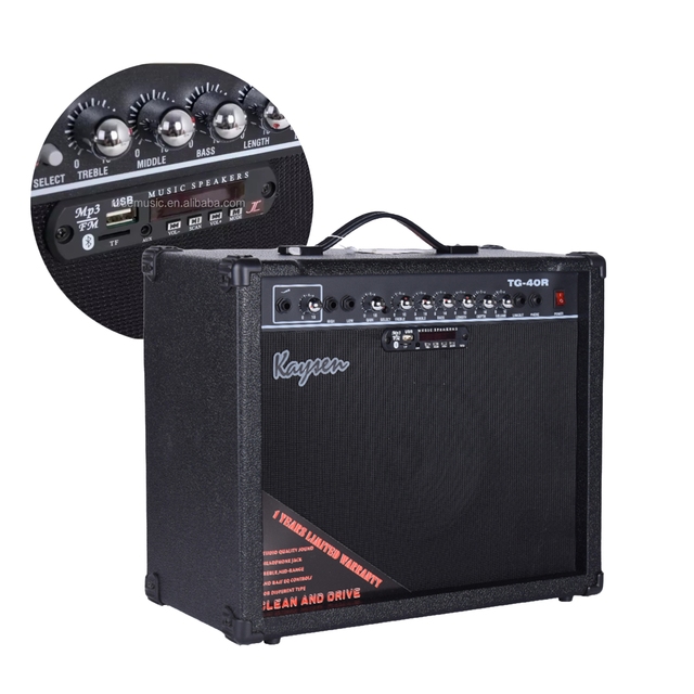 Stringded Instruments Accessories Speaker 40 Watt USB Microphone Available Electric Guitar Amplifier
