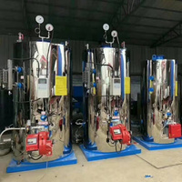Générateur de vapeur double combustible (huile et gaz) 300 kg, haute performance, économique, idéal pour les usines de confection – Nouveauté en promotion