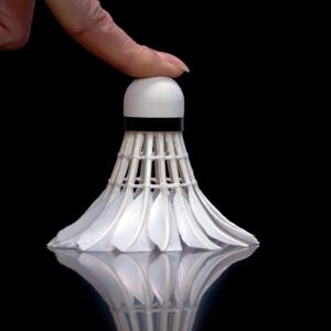 Tournament Grade <span class=keywords><strong>Master</strong></span> No.1 Volant de badminton LINGMEI-90 Plume d'oie avec une <span class=keywords><strong>super</strong></span> stabilité et durabilité pour la compétition - Product Image 5