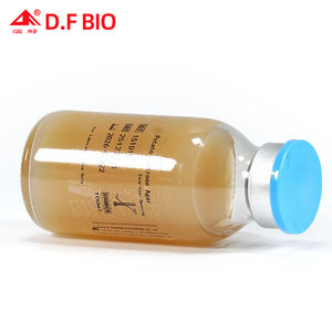 Milieu de culture en agar de glucose de pomme de terre en bouteille pour l'enrichissement en culture de moisissures et de levures, consommables de laboratoire - Product Image 2