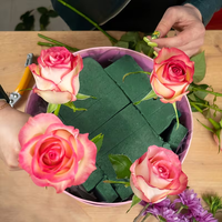 Busa Floral Hijau Blok DIY untuk Rangkaian Bunga, Kering & Basah, Penyerap Air, Ramah Lingkungan, Indoor/Outdoor, Wisuda, Halloween