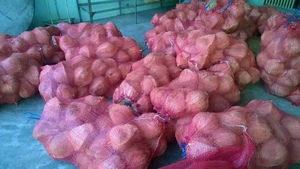 Vietnam-Delta-El MEJOR PRECIO DE COCO semicubierta seco para uso alimentario - Product Image 5