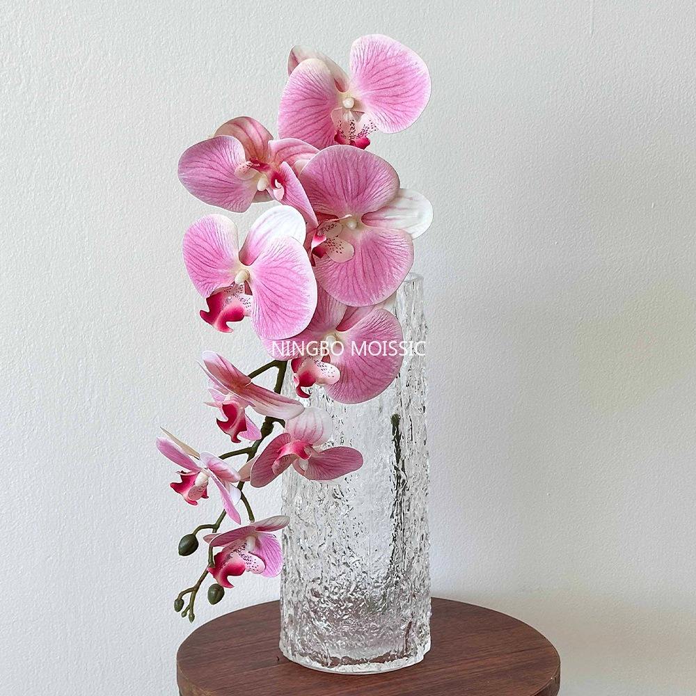 Pink 3D Phalaenopsis-1