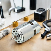 Moteur CC à aimant permanent NB WIDE 775 12V/36V 21000 BPM pour pièces de rechange de sèche-cheveux avec commutation par balais
