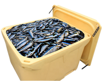 Bacs à poisson industriels de stockage thermique Conteneurs en plastique emboîtables et empilables pour les aliments pour le transport logistique et le déménagement