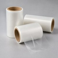 Film en rouleau de nylon 100 microns pour emballage flexible, scellage et applications de conditionnement de produits