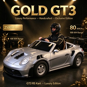 MCG GT3 Heritage Edition <b>Electric</b> <b>Go</b> <b>Kart</b> Drift Version 80KM/H High Speed Adult Racing <b>Kart</b> - Product Image 1