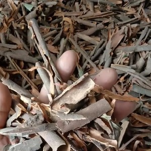 Cassia brisée pour assaisonnement de viande, épices et herbes, vente en gros, directement de l'usine, qualité économique, matière première, OEM - Product Image 1