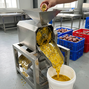 Machine industrielle de pulpage de fruits pour la production de purée de fruit de la passion - Product Image 1
