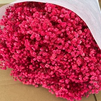 Bunga Gypsophila Awet 120g Grosir Pabrik Bunga Kering Alami Buket Babys Breath Bunga Gypsophila untuk Pernikahan