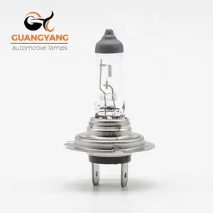 H7 12v 55w halogen lampe auto verwenden mit beleuchtung fokus hersteller