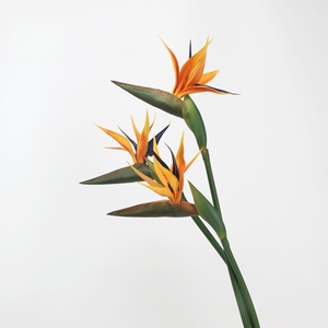 S210 alta calidad <span class=keywords><strong>Artificial</strong></span> gran paraíso pájaro Flor naranja flor Real Touch PU pájaro del paraíso flor para decoración de boda - Product Image 4