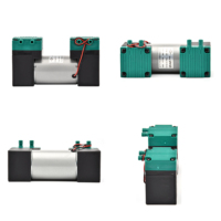Pompe à vide à diaphragme à double tête à pression négative, petite, personnalisable en usine, 12V/24V/220V CC, 20L/min, pour l'emballage alimentaire