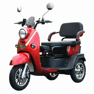 Tricycle électrique Moto 48V pour adultes, motorisé, 3 vitesses, 1000W, avec carrosserie ouverte, véhicule à trois roues en stock - Product Image 5