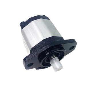 Bombas de Engranajes Hidráulicas Blince de Repuesto para la Serie NP1NN, Origen China, 0.6 kg - Product Image 3
