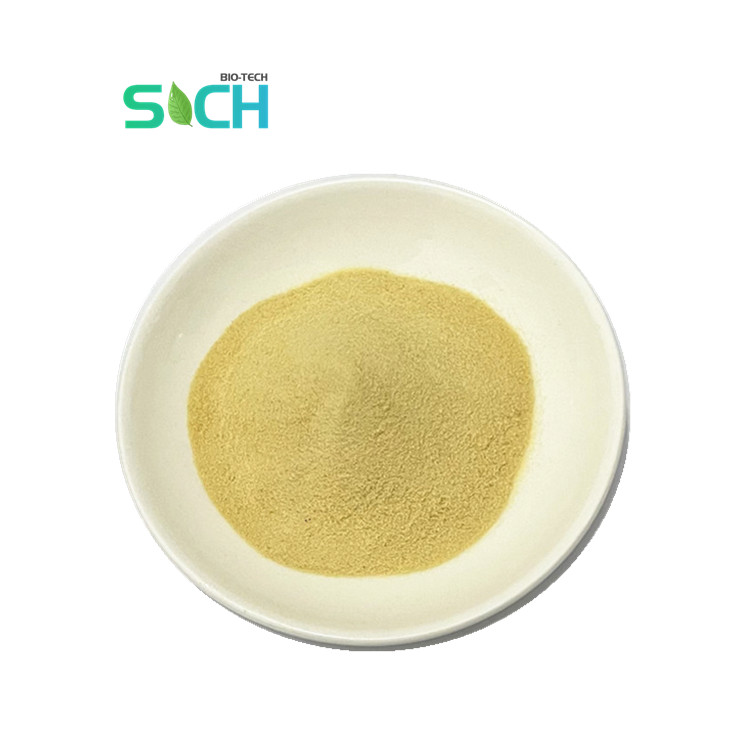 Free Sample Water Soluble Ginger Root Extract Powder Gingerol Powder 1% 10% 20% Instant Ginger Extract