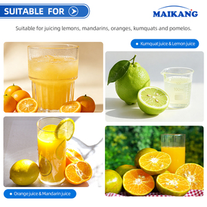 เครื่องคั้นน้ำผลไม้เกรดอุตสาหกรรมขนาดใหญ่สำหรับคั้นน้ำส้มจี๊ด <span class=keywords><strong>มะนาว</strong></span> และองุ่น รวมถึงคัมควอต - Product Image 4